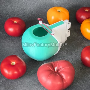 May include: A teal silicone mold shaped like a tomato, with a white plastic base and a red rubber band. The mold is surrounded by red and orange tomatoes.