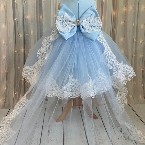 Sky Blue Flower Girl Dress High Low Baby Blue Dress for Etsy