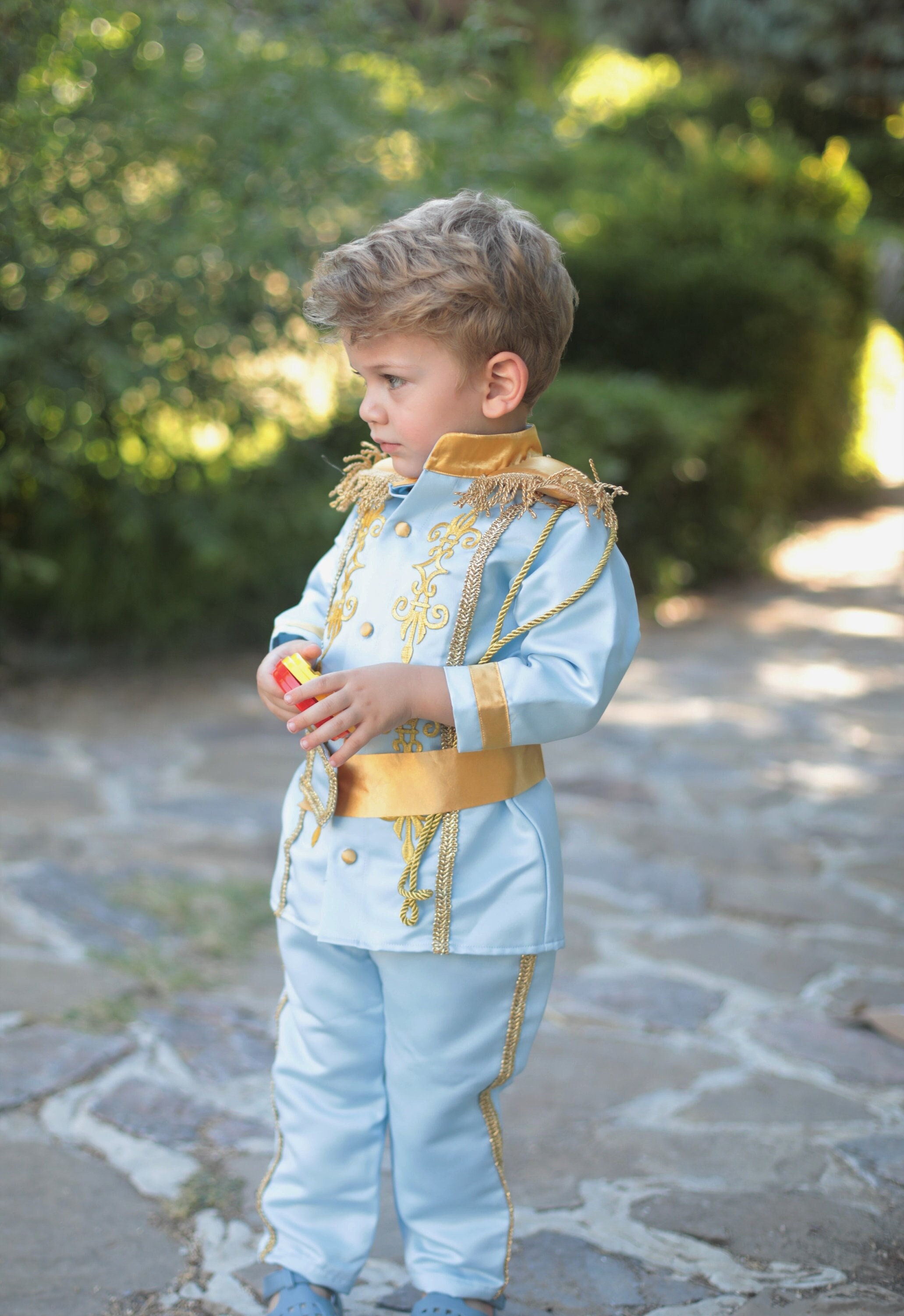 Holiday Prince Costume for Toddler Boys the Groom is in the - Etsy