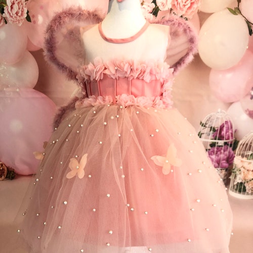 baby butterfly dress