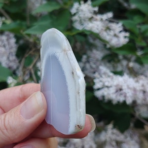 Blue chalcedony natural crystal slice. Small blue and white stone. Meditation stone pictured in hand. Shaded light, blooming lilac in background.