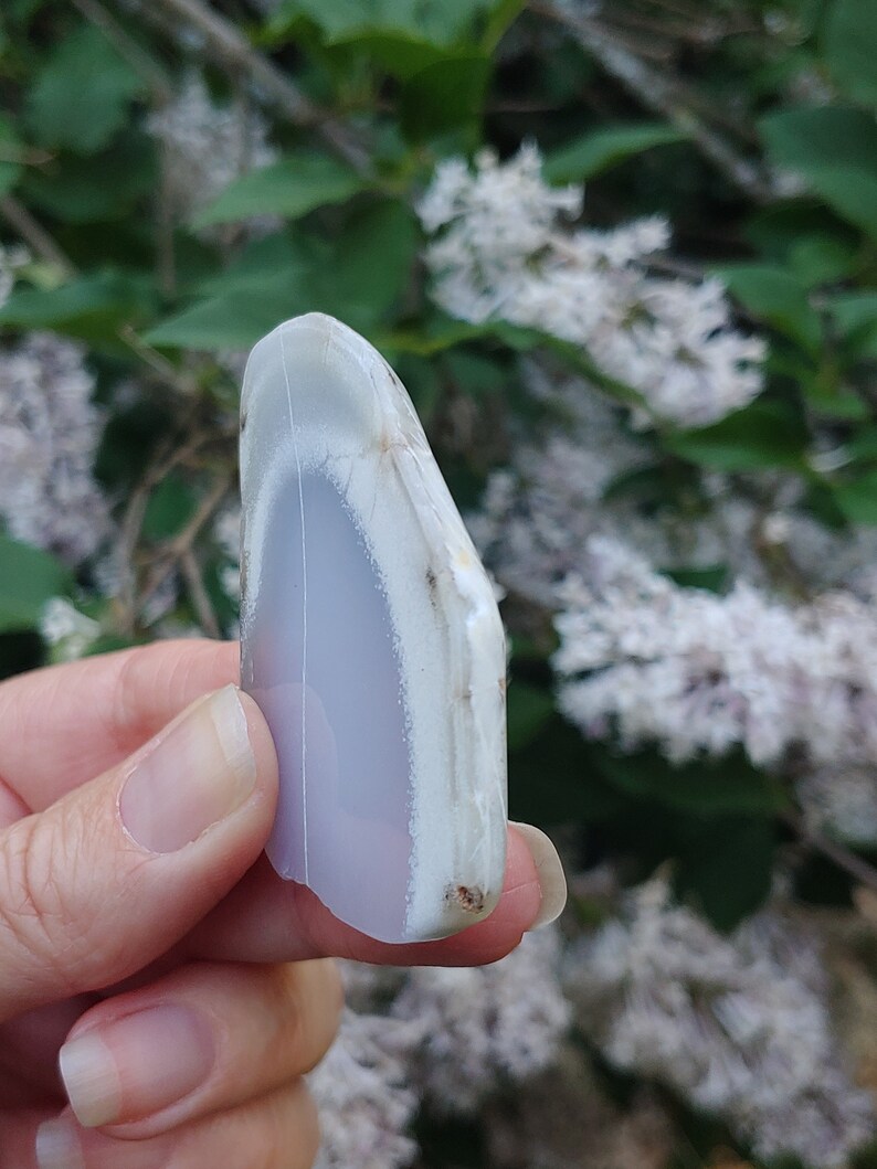 Blue chalcedony natural crystal slice. Small blue and white stone. Meditation stone pictured in hand. Shaded light, blooming lilac in background.