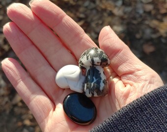 Black & White! Gift Set of 5. Howlite Skull, Zebra Jasper Mushroom, Obsidian. 3 Goth Crystals 2 Stickers. Dark Humor Halloween vibe Skeleton
