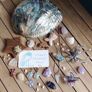 May include: A collection of crystals, shells, and jewelry on a wooden surface. Items include a large iridescent abalone shell, star-shaped decor, necklaces, earrings, and a card with an owl illustration and the text "tipsy crystal shop."