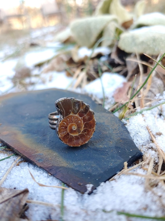 Ammonite Fossil Ring. Vintage Patina. Size 9 U.S. 