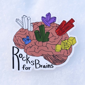 Rocks for Brains Vinyl Sticker, Geology gift, Science Teacher Presents