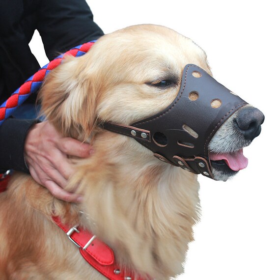 dog mouth guard