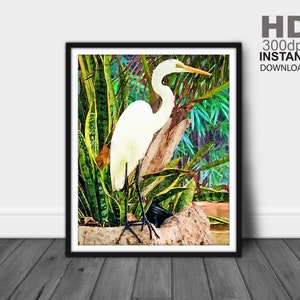 Great White Heron Print, Bird Wall Art, Bird Wall Decor, Bird Art, Bird Art Prints, Bird Prints