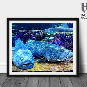 Grouper Fish Print, Fish Prints, Fish Wall Art, Fish Wall Decor, Sport Fish Art, Sea Fish Painting