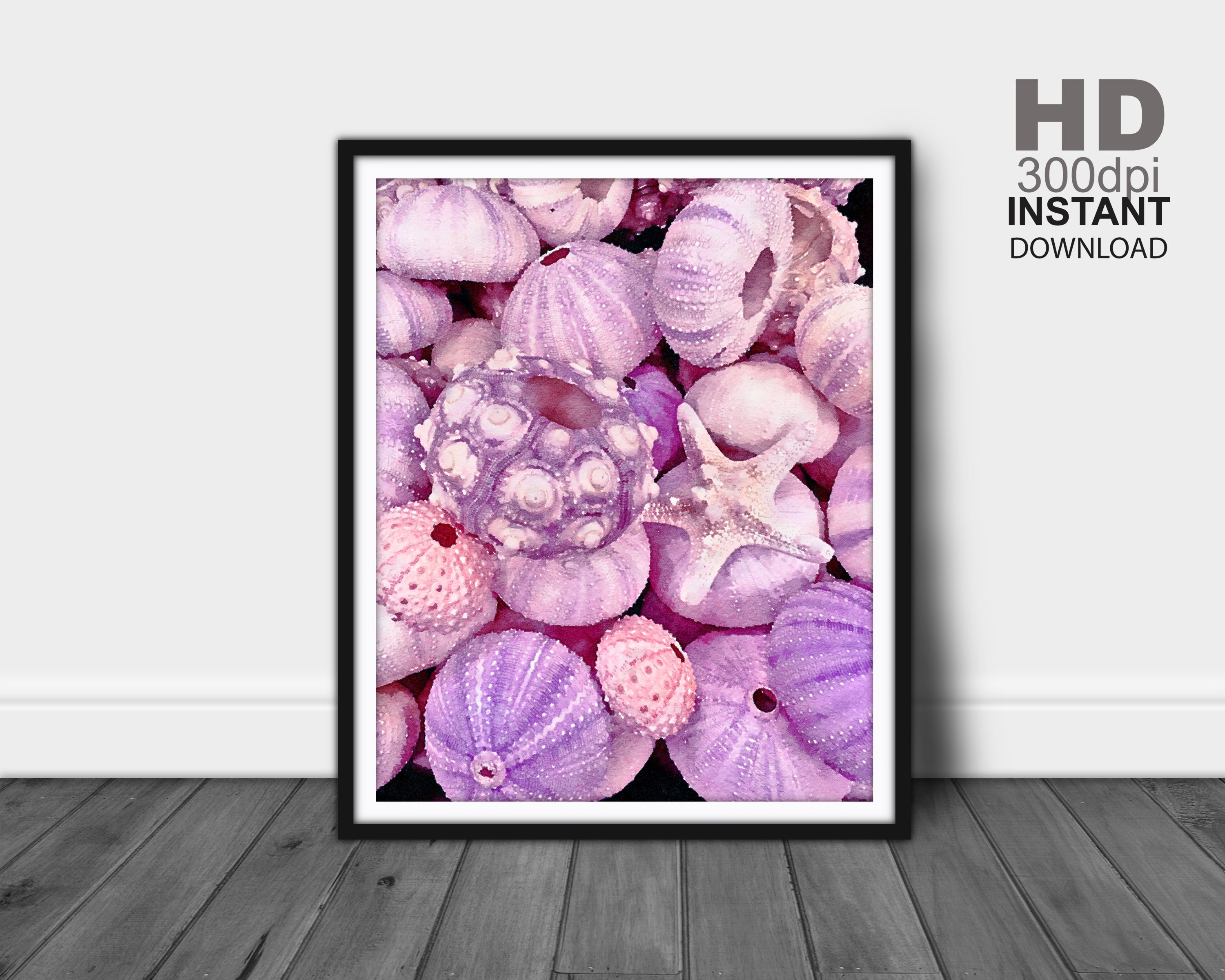 Sea Urchins Print, Sea Urchins Wall Art, Ocean Wall Decor, Shell Art