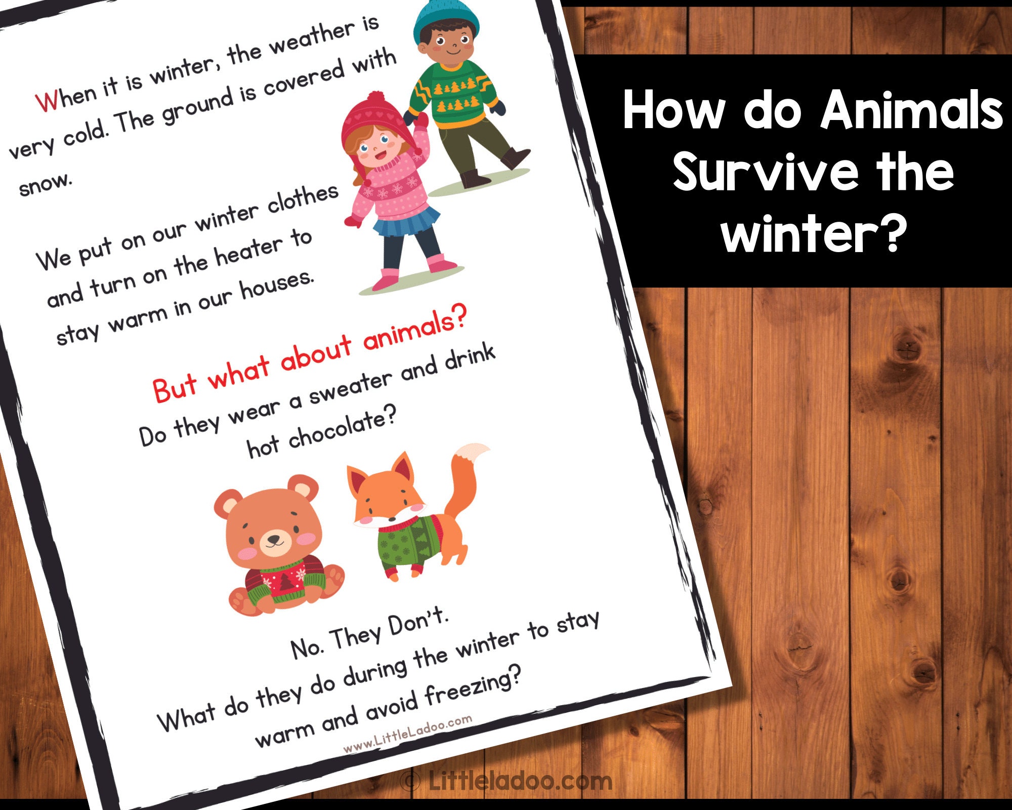 Animals in Winter Printable Pack Learn About Hibernation Adaptation Animals in Winter Printable Pack Learn About Hibernation Adaptation
