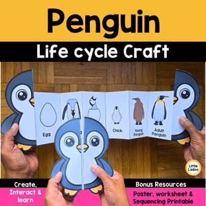 以下が含まれることがあります： 「Penguin Life cycle Craft」の文字が上部に書かれた、ペンギンのライフサイクルクラフト。卵から大人まで、ペンギンの成長過程を示しています。「Create, Interact & learn」の文字が左下にあります。