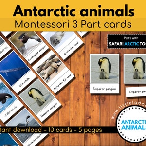 Antarctische dieren afdrukbaar, Montessori 3-delige kaarten, Safari Arctic Toob bijpassende kaarten, educatieve afdrukbaar