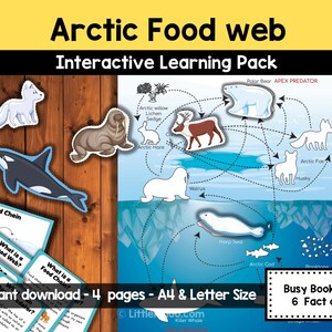 May include: An educational Arctic Food Web learning pack with illustrations of polar animals, including a polar bear, arctic fox, and walrus. The pack includes a food web diagram, fact cards, and the text "Arctic Food web" and "Interactive Learning Pack".
