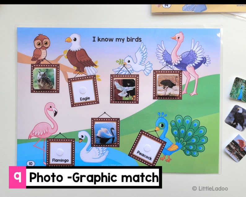 May include: A colorful educational game for kids featuring pictures of different birds. The game includes a photo matching activity with images of an owl, eagle, flamingo, swan, peacock, and ostrich. The game is titled "I know my birds" and "Photo-Graphic match".