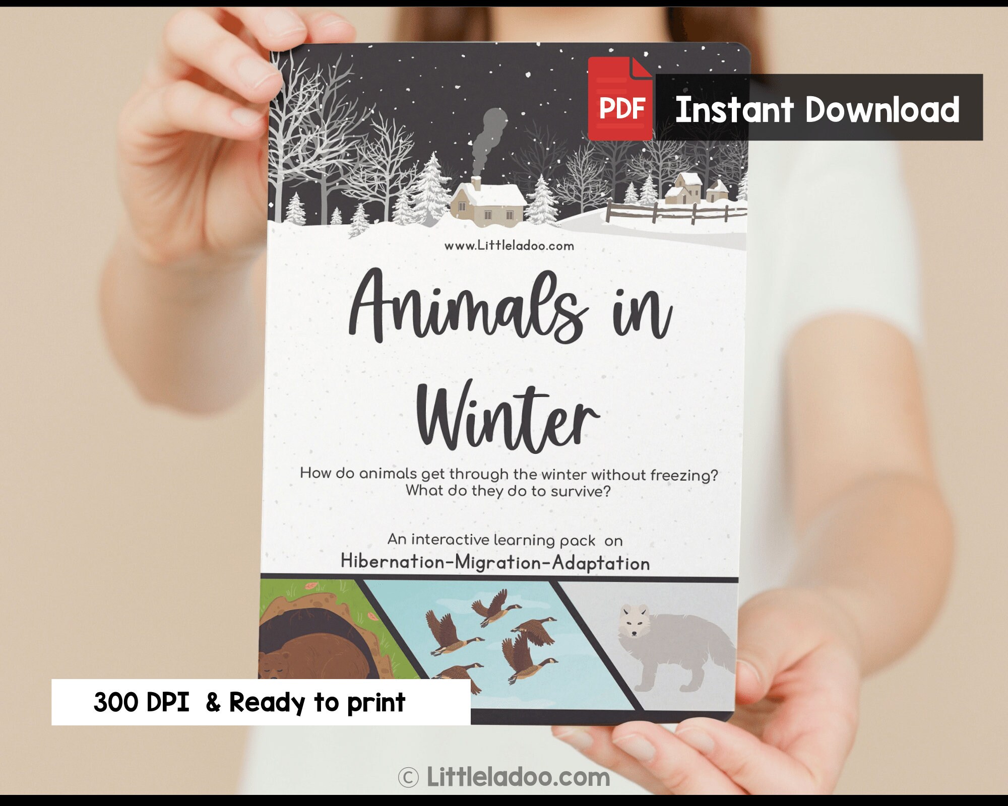 Animals in Winter Printable Pack Learn About Hibernation Adaptation Animals in Winter Printable Pack Learn About Hibernation Adaptation