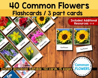 Flower Flashcards printable / Montessori 3 Part Cards - Editable - Flower Identification Chart - Homeschool Resources