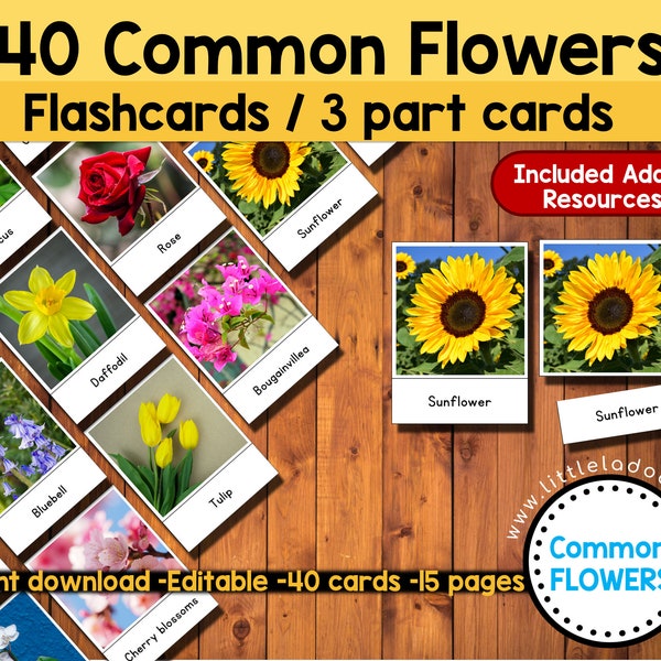 Flower Flashcards printable / Montessori 3 Part Cards - Editable - Flower Identification Chart - Homeschool Resources