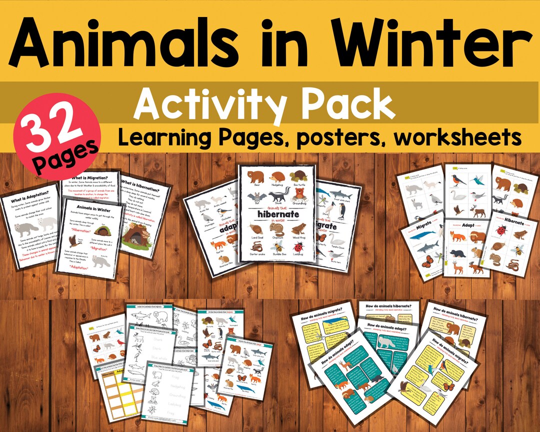 Animals in Winter Printable Pack Learn About Hibernation - Etsy Ireland Animals in Winter Printable Pack Learn About Hibernation - Etsy Ireland