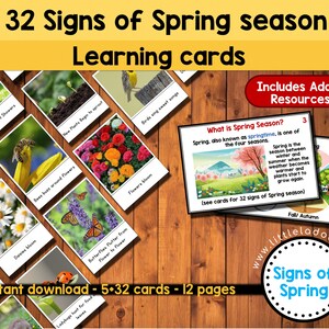 Signos de Spring Flashcards, Spring Flashcard imprimible,