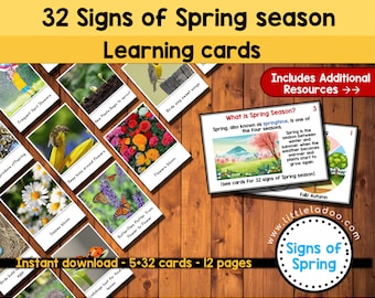 Signs of Spring Flashcards, Spring Flashcard printable,