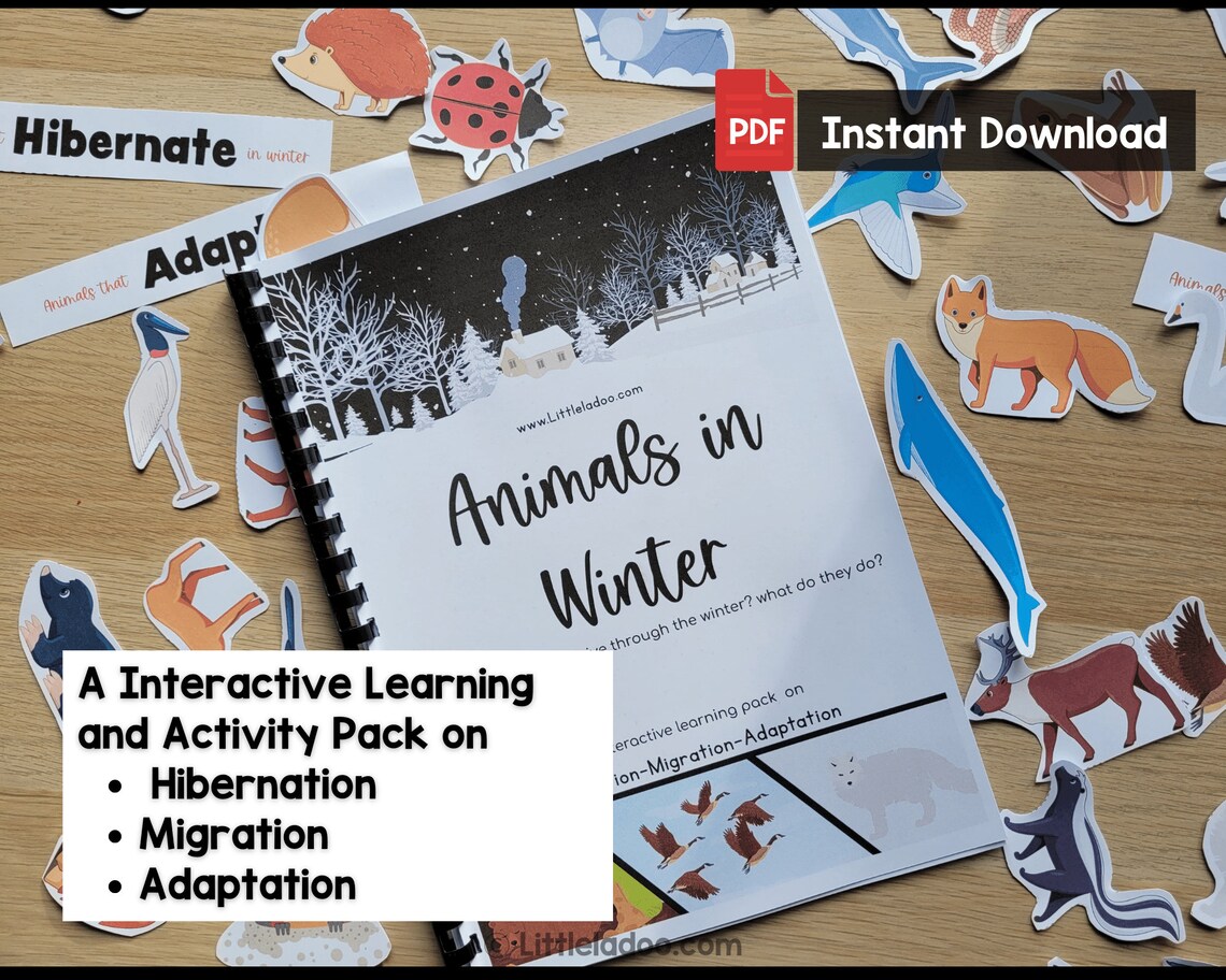 Animals in Winter Printable Pack Learn About Hibernation Adaptation Animals in Winter Printable Pack Learn About Hibernation Adaptation