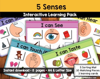 5 Senses Sorting Activity Printable, Toddler Busy Book, Preschool Learning Binder