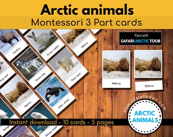 Arctic Animals Printable, Montessori 3 Part cards , Safari Arctic Toob Matching cards , Educational Printable