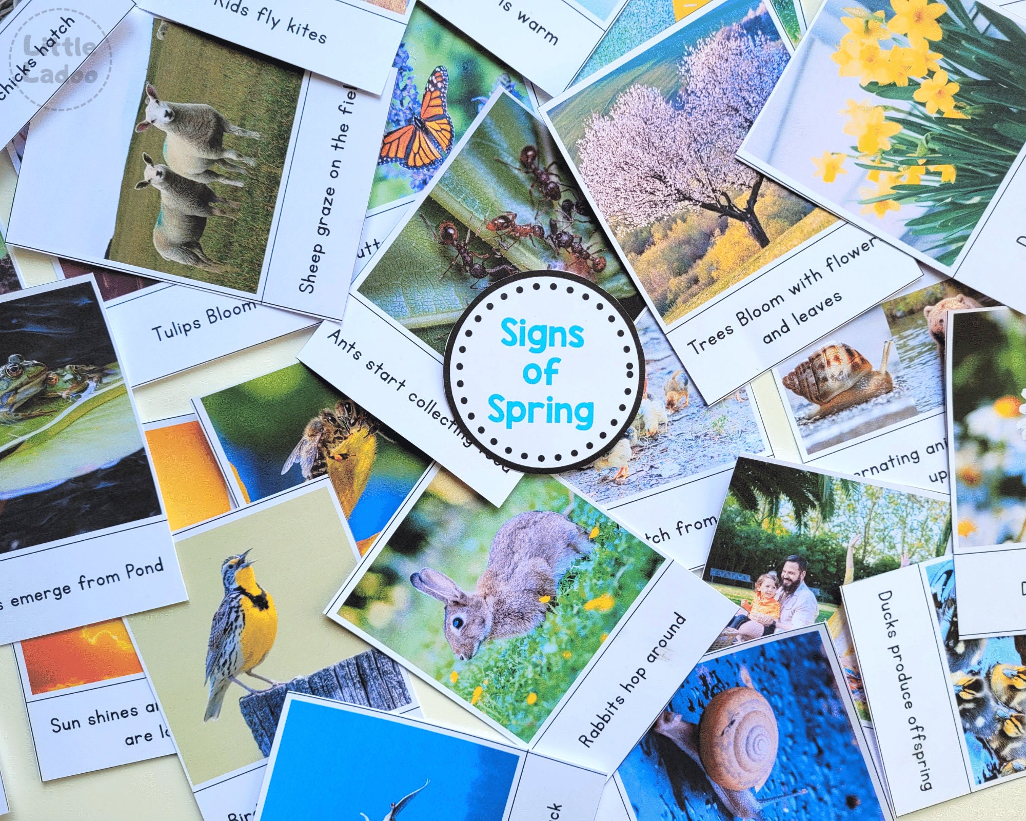Signs of Spring Flashcards, Spring Flashcard Printable, - Etsy