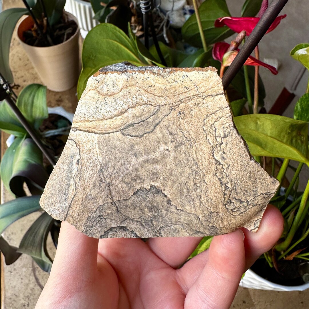 Raw Picture Jasper Stone Picture Jasper Etsy