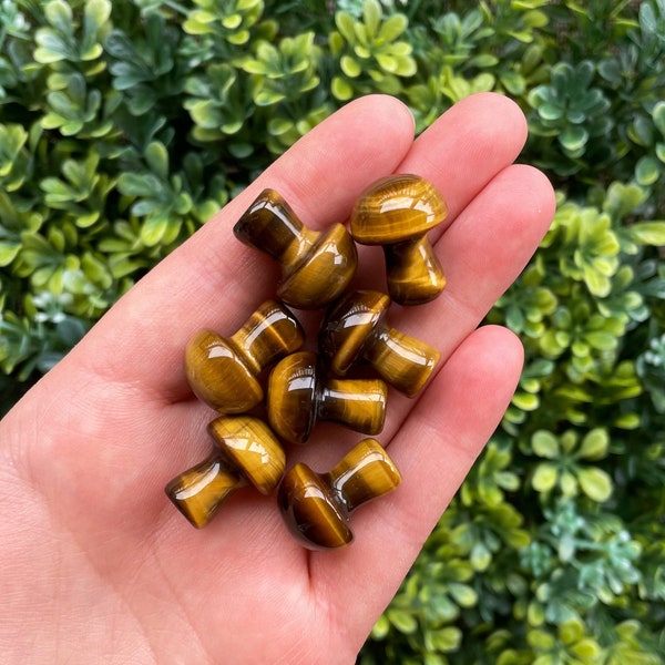 One Tiger Eye Mini Mushroom, Tiger’s Eye Mushroom, Mushroom Carving, Tigers Eye