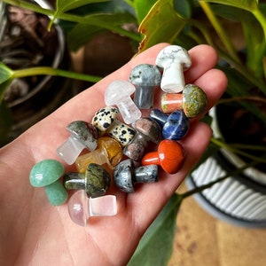 You Choose Mini Crystal Mushroom, Multiple Materials, Crystal Mushroom, Mini Carving