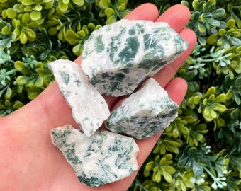 One Raw Tree Agate, Tree Agate, Rough Tumbled Stones, Tree Agate Raw, Healing Crystal