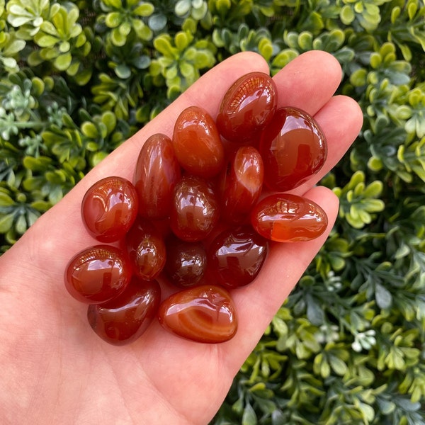 Two Mini Carnelian Tumbles, Carnelian Tumbled Stone, Carnelian Small Tumbles