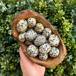 One Dalmatian Jasper Tumble, Dalmatian Stone, Dalmatian Jasper Tumbled Stone