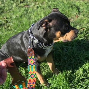 dog leash, pet leash, Mexican dog leash, leather dog leash, woven dog leash,