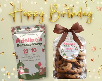 Kids Birthday Chip Bag Template | Editable Snack Bag | Birthday Party Favors