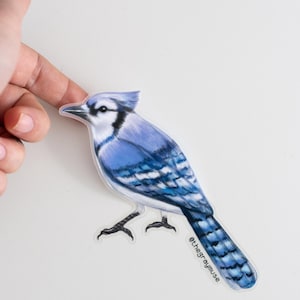 Blue Jay Bird Matte Sticker, Bird Stickers, Nature Lover Gifts, Gift for Gardeners, Animals Laptop Decal, Bird Watching, Animal Accessories