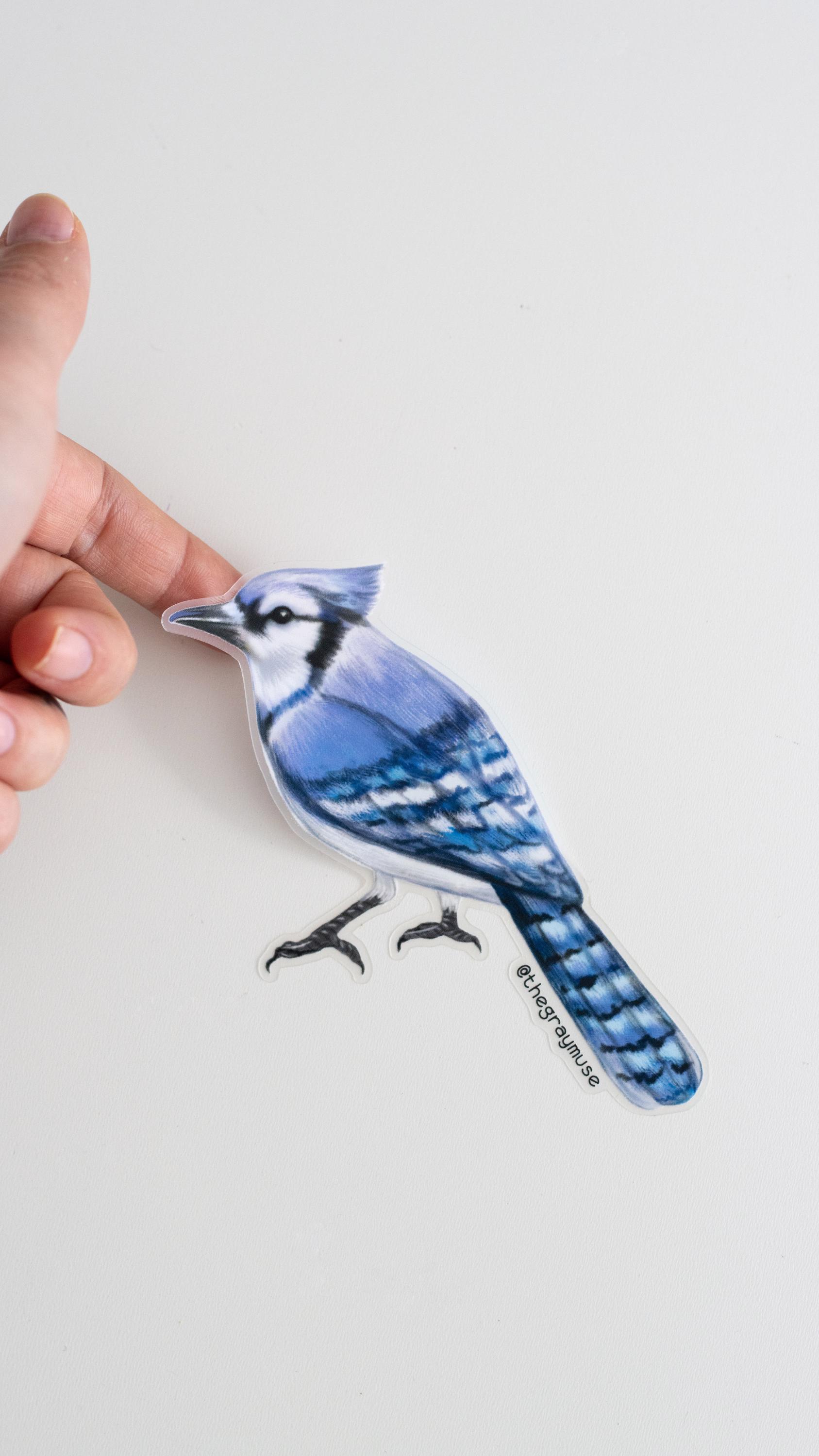 Blue Jay Bird Matte Sticker, Bird Stickers, Nature Lover Gifts, Gift for Gardeners, Laptop Decal, Bird Watching, Animal Accessories