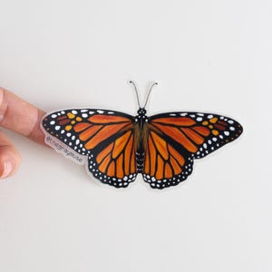 Puede incluir: Una pegatina de mariposa monarca con detalles en naranja, negro, blanco y amarillo. La mariposa tiene un patrón de alas detallado y está sujeta por un dedo. La pegatina tiene el texto "@thegraymuse" en el ala izquierda.