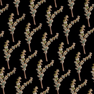 May include: A repeating pattern of eucalyptus branches with green leaves and brown stems against a black background. The leaves have a slight blue-green hue. The branches are arranged vertically.