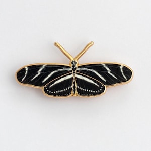May include: A butterfly-shaped pin with a gold-colored outline. The butterfly's wings are black with white stripes and a dotted pattern along the bottom edge. The pin has a gold-colored antenna.