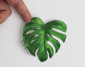 Monstera Deliciosa Plant Sticker, Matte Clear Leaf Laptop Decal