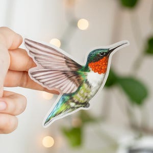 Hummingbird Clear Matte Sticker, Bird Stickers, Nature Lover Gifts, Gift for Gardeners, Laptop Decal, Water Bottle Decoration, Bird Watcher