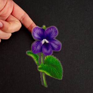 May include: A purple flower with green leaves on a black background. The flower has a white center and is drawn in a realistic style.