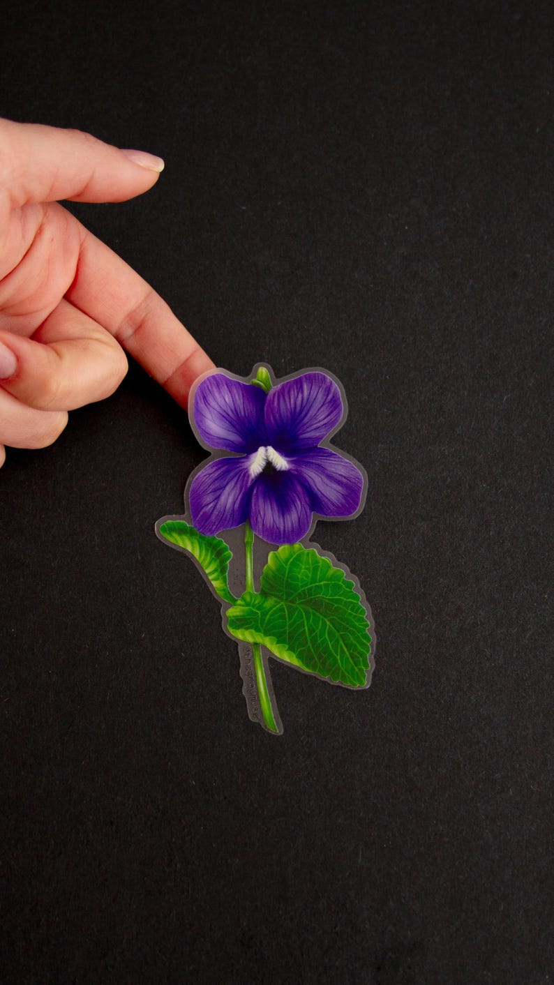 May include: A purple flower with green leaves on a black background. The flower has a white center and is drawn in a realistic style.