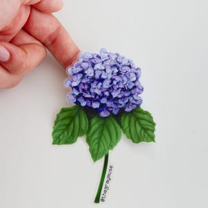 Puede incluir: Una pegatina de una flor de hortensia morada con hojas verdes y un tallo. La pegatina tiene el texto "@thegraymuse" en el tallo.