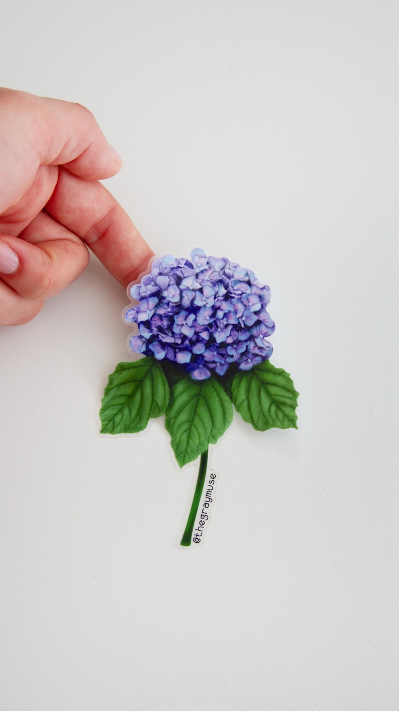 Puede incluir: Una pegatina de una flor de hortensia morada con hojas verdes y un tallo. La pegatina tiene el texto "@thegraymuse" en el tallo.
