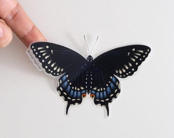 Black Swallowtail Butterfly Matte Sticker, Nature Decal