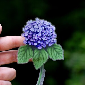 Puede incluir: Una pegatina transparente con una flor de hortensia morada con hojas verdes. La pegatina tiene el texto "@thegraymuse" en el tallo.
